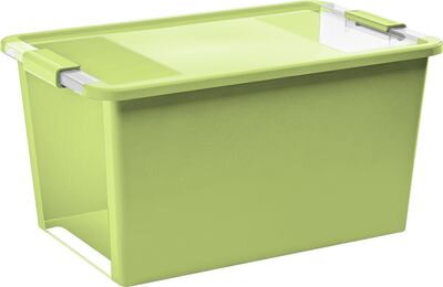 Box KIS Bi-Box L, 40L, svetlý zelený, 35x55x28 cm, s vekom